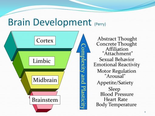 Bruce-Perry-NSMT-2-510x383